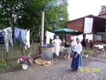k-Heidjerfest 2006 in Eversen 008.JPG